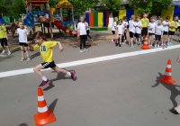 img (9)